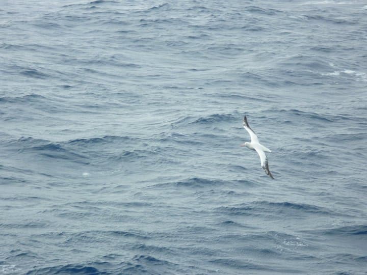 Antarctica (60°00'S 64°19'W)