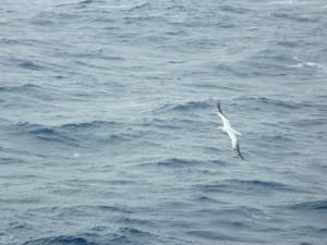 Antarctica (60°00'S 64°19'W)