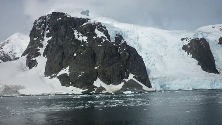 Chilling and Cute Antarctica Videos