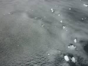 Antarctica (64°72'S 63°17'W)