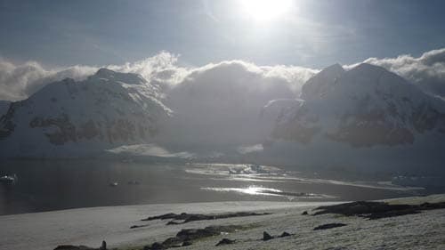 Local food eaten in Antarctica
