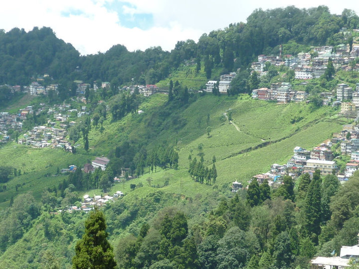 The Darjeeling Tea Express